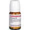 ECHINACEA HAB D 30 tabletti, 80 tk