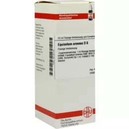 EQUISETUM ARVENSE D 6 Lahjendus, 50 ml