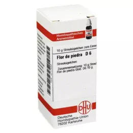 FLOR DE PIEDRA D 6 kapslit, 10 g