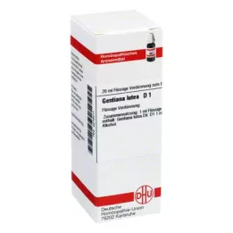 GENTIANA LUTEA D 1 Lahjendus, 20 ml