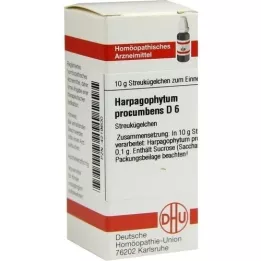 HARPAGOPHYTUM PROCUMBENS D 6 kapslit, 10 g