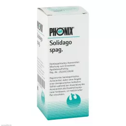 PHÖNIX SOLIDAGO spag.segu, 100 ml