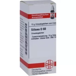 SILICEA D 60 kapslit, 10 g