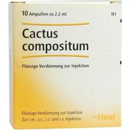 CACTUS COMPOSITUM Ampullid, 10 tk