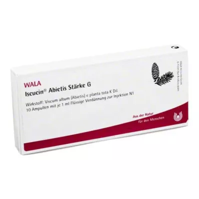 ISCUCIN abietis Tärklis G Ampullid, 10X1 ml