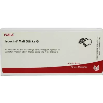 ISCUCIN mali Tärklis G Ampullid, 10X1 ml