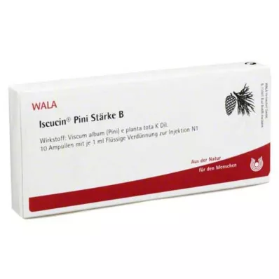 ISCUCIN pini Tärklis B ampullid, 10X1 ml ISCUCIN pini Tärklis B ampullid, 10X1 ml