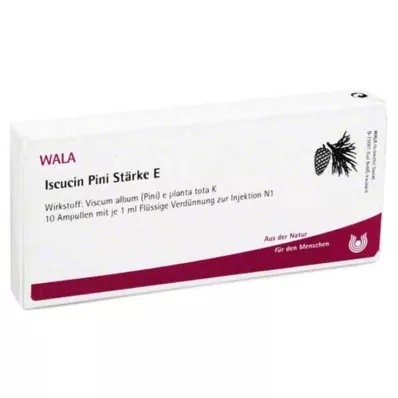 Iscucin Pini St.E ampullid, 10x1 ml