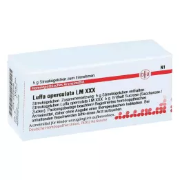 LUFFA OPERCULATA LM XXX Gloobulid, 5 g