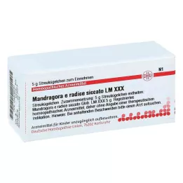MANDRAGORA E radice siccata LM XXX Gloobulid, 5 g