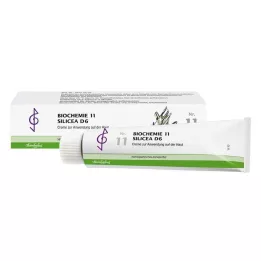 BIOCHEMIE 11 Silicea D 6 kreem, 100 ml