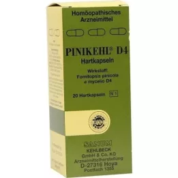 PINIKEHL Kapslid D 4, 20 tk