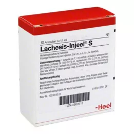 LACHESIS INJEEL S ampullid, 10 tk