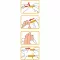 WELLION Safetylancets 28 G turvaemailid, 25 tk