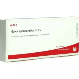 GALEA aponeurotica GL D 5 ampulli, 10X1 ml