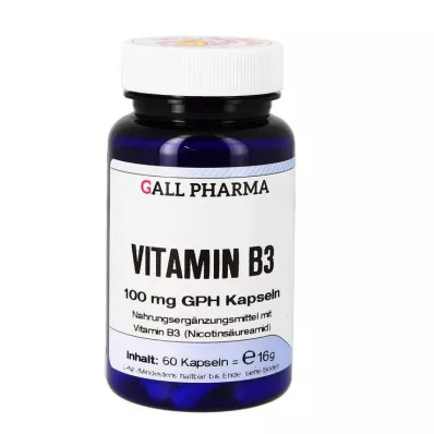 VITAMIN B3 100 mg GPH kapslid, 60 tk