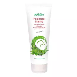 PFERDESALBE jahutus, 100 ml