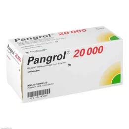 PANGROL 20 000 enteroidiga kaetud tabletti, 100 tk