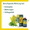 GASTRICHOLAN-L Suukaudne vedelik, 50 ml