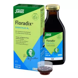 FLORADIX Raud pluss B12 vegantoonik, 250 ml