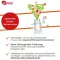 ZELL OXYGEN Immuunikompleks-kuuri vedelik, 3X250 ml