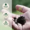 Allgäu mägimänni hõõrumine rahustav &amp; soe, 250 ml