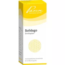 SOLIDAGO SIMILIAPLEX tilgad, 50 ml