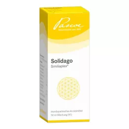 SOLIDAGO SIMILIAPLEX tilgad, 50 ml