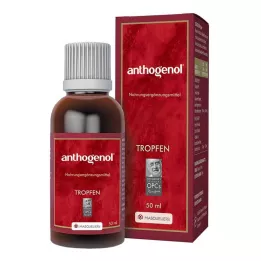 ANTHOGENOL Masquelier OPC tilgad, 50 ml