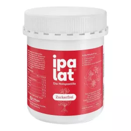 IPALAT Kurgupastillid suhkruta, 400 tk