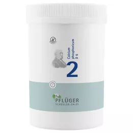 BIOCHEMIE Põllumehe kips 2 Calcium phosphoricum D 6 tbl, 4000 tk