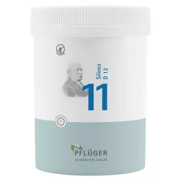 BIOCHEMIE Pflüger 11 Silicea D 12 tabletti, 1000 tk