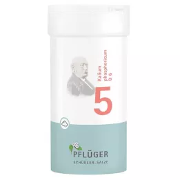 BIOCHEMIE Ploughmans Plaster 5 Kalium phosphoricum D 6 Pulber, 100 g