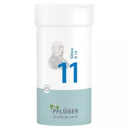 BIOCHEMIE Ploughmans 11 Silicea D 12 pulber, 100 g