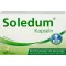 SOLEDUM 100 mg enteroidkattega kapslid, 100 tk