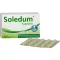 SOLEDUM 100 mg enteroidkattega kapslid, 100 tk