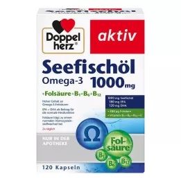 DOPPELHERZ Sea Fish Oil Omega-3 1.000 mg+Fols.Caps., 120 tk