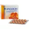 ANGOCIN Anti Infekt N õhukese polümeerikattega tabletid, 200 kapslit