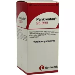 PANKREATAN 25 000 kõvakapslit, 100 tk