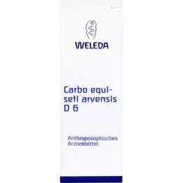 CARBO EQUISETI arvensis D 6 Trituratsioon, 20 g