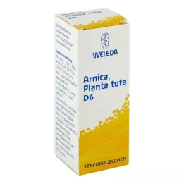 ARNICA PLANTA tota D 6 kapslit, 10 g