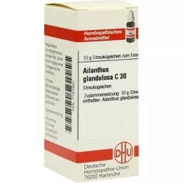 AILANTHUS GLANDULOSA C 30 graanulid, 10 g