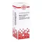 Asterias Rubens D6 lahjendus (20 ml)