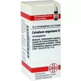 CALADIUM seguinum D 6 kapslit, 10 g