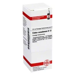 CISTUS CANADENSIS D 12 Lahjendus, 20 ml