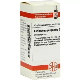 ECHINACEA PURPUREA D 6 kapslit, 10 g