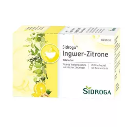 SIDROGA Wellness ingveri-sidrunitee filtrikott, 20X2.0 g