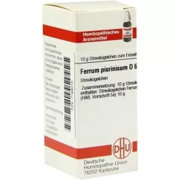 FERRUM PICRINICUM D 6 kapslit, 10 g
