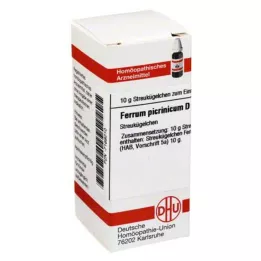 FERRUM PICRINICUM D 6 kapslit, 10 g
