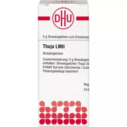 THUJA LM II Gloobulid, 5 g